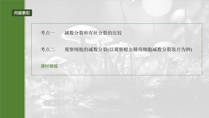 第四单元　第二十二课时　减数分裂与有丝分裂的比较及观察蝗虫精母细胞减数分裂装片-2025年高考生物大一轮复习（课件+讲义+练习）05