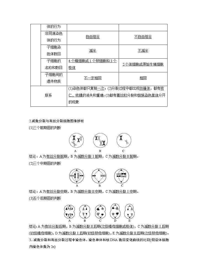 第四单元　第22课时　减数分裂与有丝分裂的比较及观察蝗虫精母细胞减数分裂装片-2025年高考生物大一轮复习（课件+讲义+练习）教师版第2页