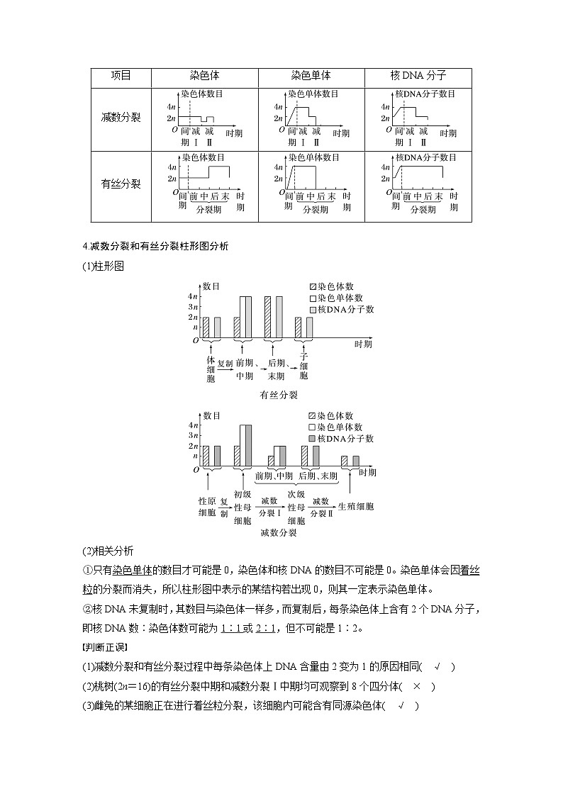 第四单元　第22课时　减数分裂与有丝分裂的比较及观察蝗虫精母细胞减数分裂装片-2025年高考生物大一轮复习（课件+讲义+练习）教师版第3页