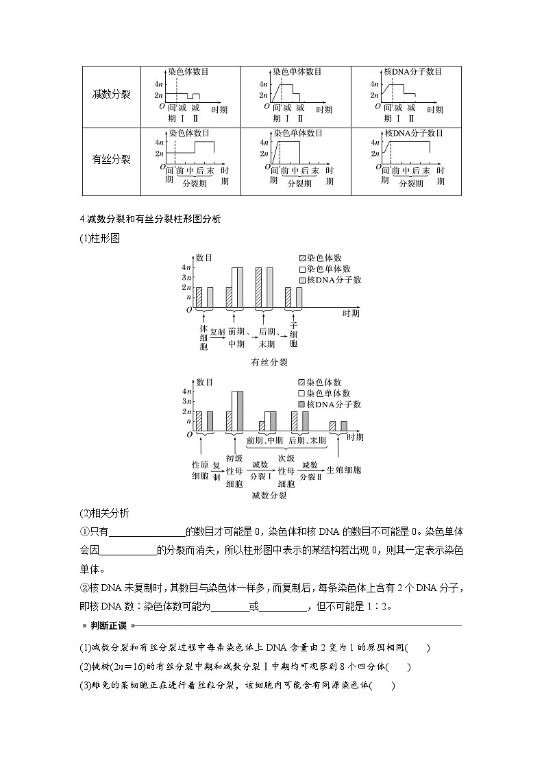 第四单元　第22课时　减数分裂与有丝分裂的比较及观察蝗虫精母细胞减数分裂装片-2025年高考生物大一轮复习（课件+讲义+练习）学生版第3页