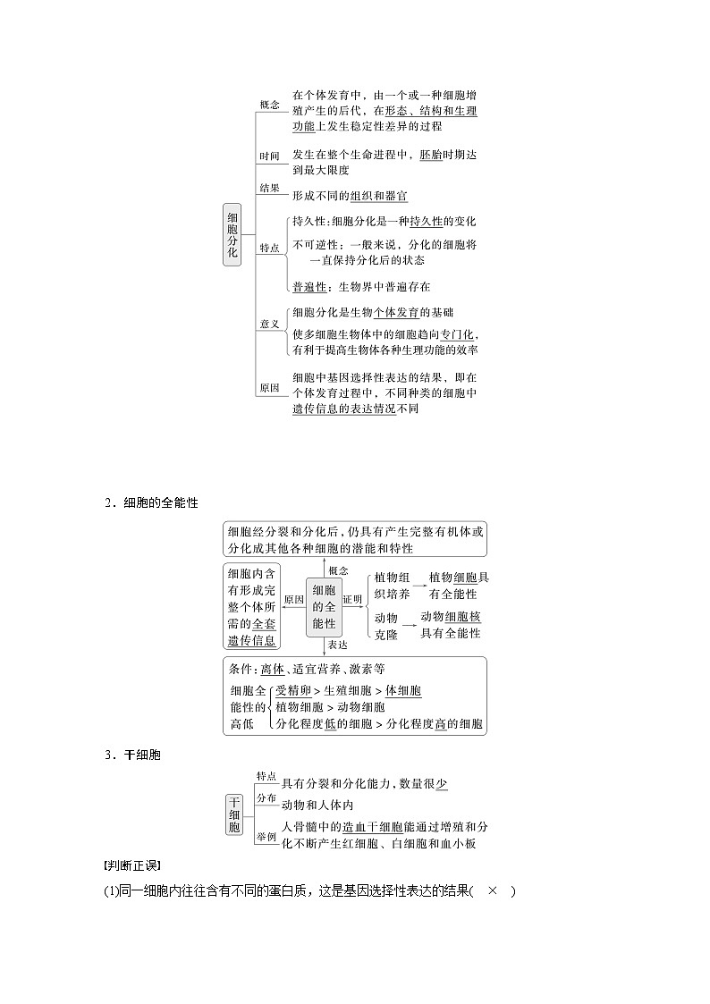 第四单元　第23课时　细胞的分化、衰老和死亡-2025年高考生物大一轮复习（课件+讲义+练习）教师版第2页
