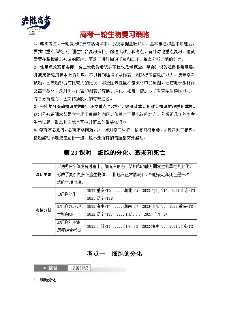 第四单元　第23课时　细胞的分化、衰老和死亡-2025年高考生物大一轮复习（课件+讲义+练习）学生版第1页