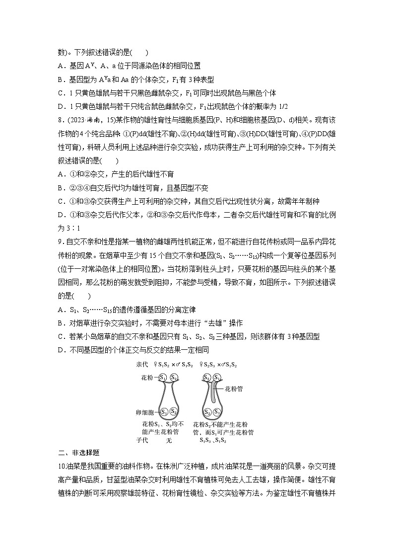 第五单元　专题突破5　基因分离定律拓展题型突破-2025年高考生物大一轮复习（课件+讲义+练习）03