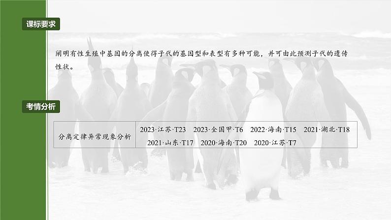 第五单元　专题突破5　基因分离定律拓展题型突破-2025年高考生物大一轮复习（课件+讲义+练习）04