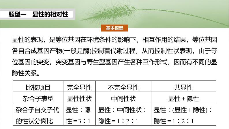 第五单元　专题突破5　基因分离定律拓展题型突破-2025年高考生物大一轮复习（课件+讲义+练习）05