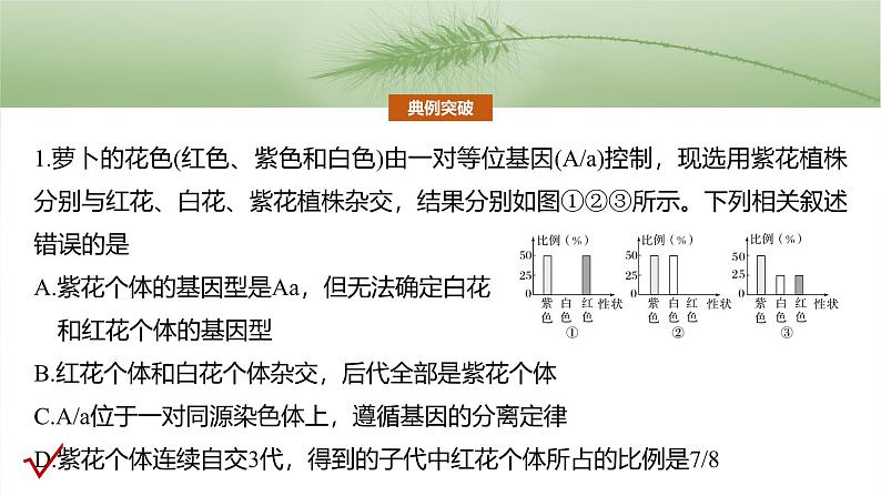 第五单元　专题突破5　基因分离定律拓展题型突破-2025年高考生物大一轮复习（课件+讲义+练习）06