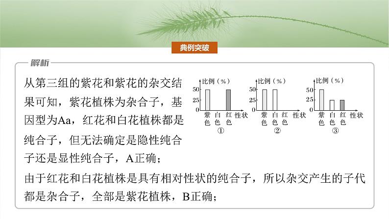 第五单元　专题突破5　基因分离定律拓展题型突破-2025年高考生物大一轮复习（课件+讲义+练习）07