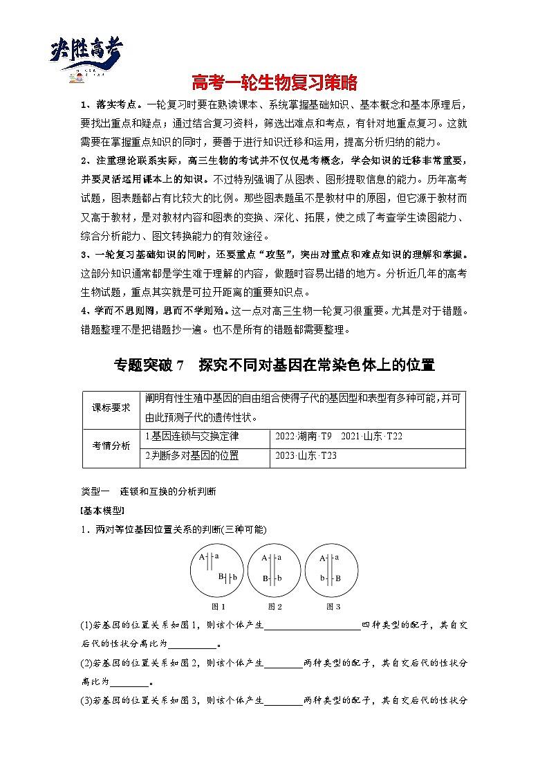 第五单元　专题突破7　探究不同对基因在常染色体上的位置-2025年高考生物大一轮复习（课件+讲义+练习）学生版第1页