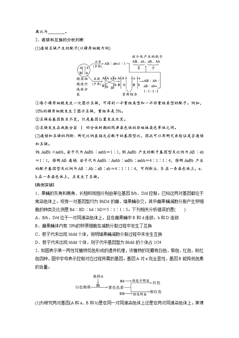 第五单元　专题突破7　探究不同对基因在常染色体上的位置-2025年高考生物大一轮复习（课件+讲义+练习）学生版第2页