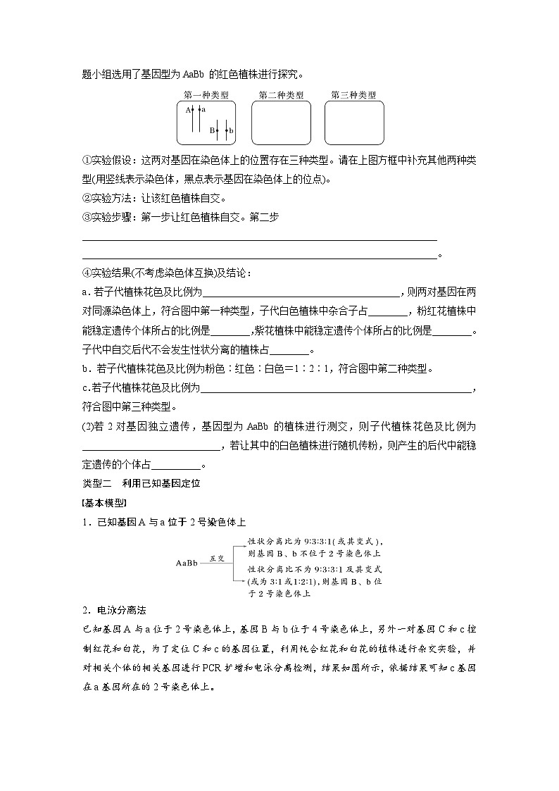 第五单元　专题突破7　探究不同对基因在常染色体上的位置-2025年高考生物大一轮复习（课件+讲义+练习）学生版第3页