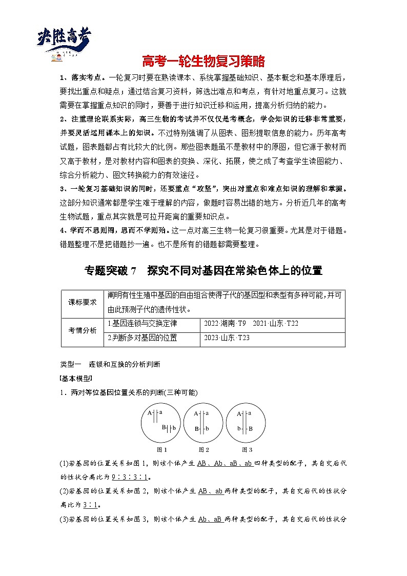 第五单元　专题突破7　探究不同对基因在常染色体上的位置-2025年高考生物大一轮复习（课件+讲义+练习）教师版第1页