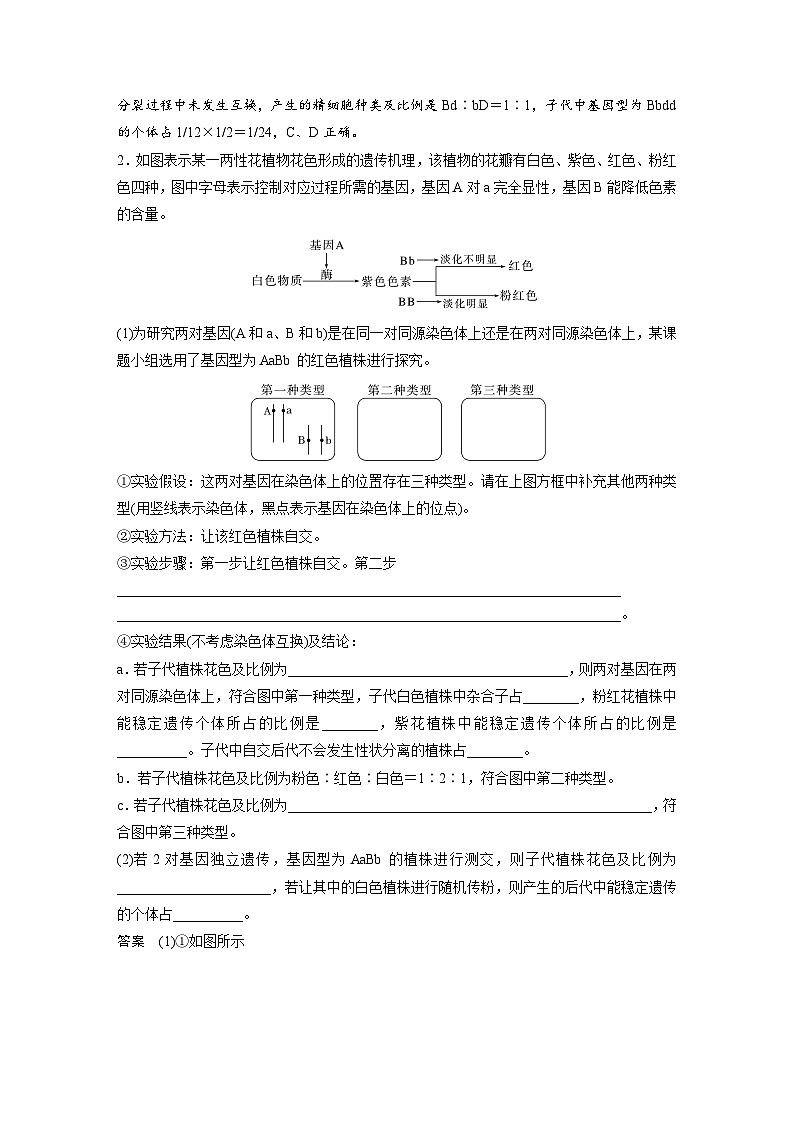 第五单元　专题突破7　探究不同对基因在常染色体上的位置-2025年高考生物大一轮复习（课件+讲义+练习）教师版第3页