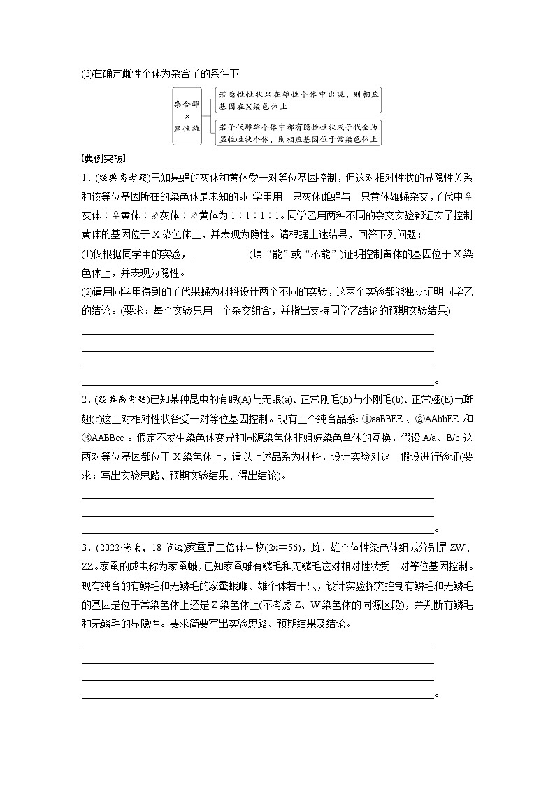 第五单元　专题突破8　基因在性染色体上的位置判断-2025年高考生物大一轮复习（课件+讲义+练习）02