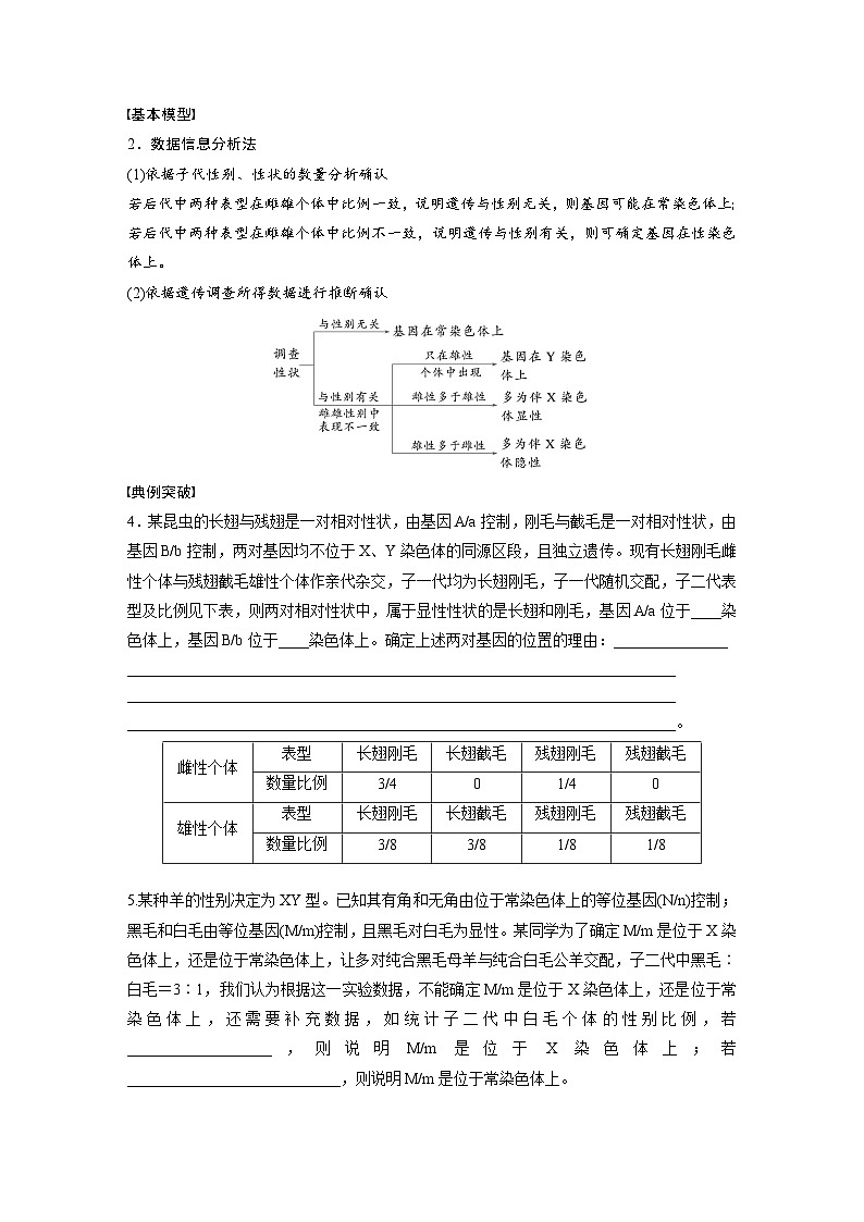 第五单元　专题突破8　基因在性染色体上的位置判断-2025年高考生物大一轮复习（课件+讲义+练习）03