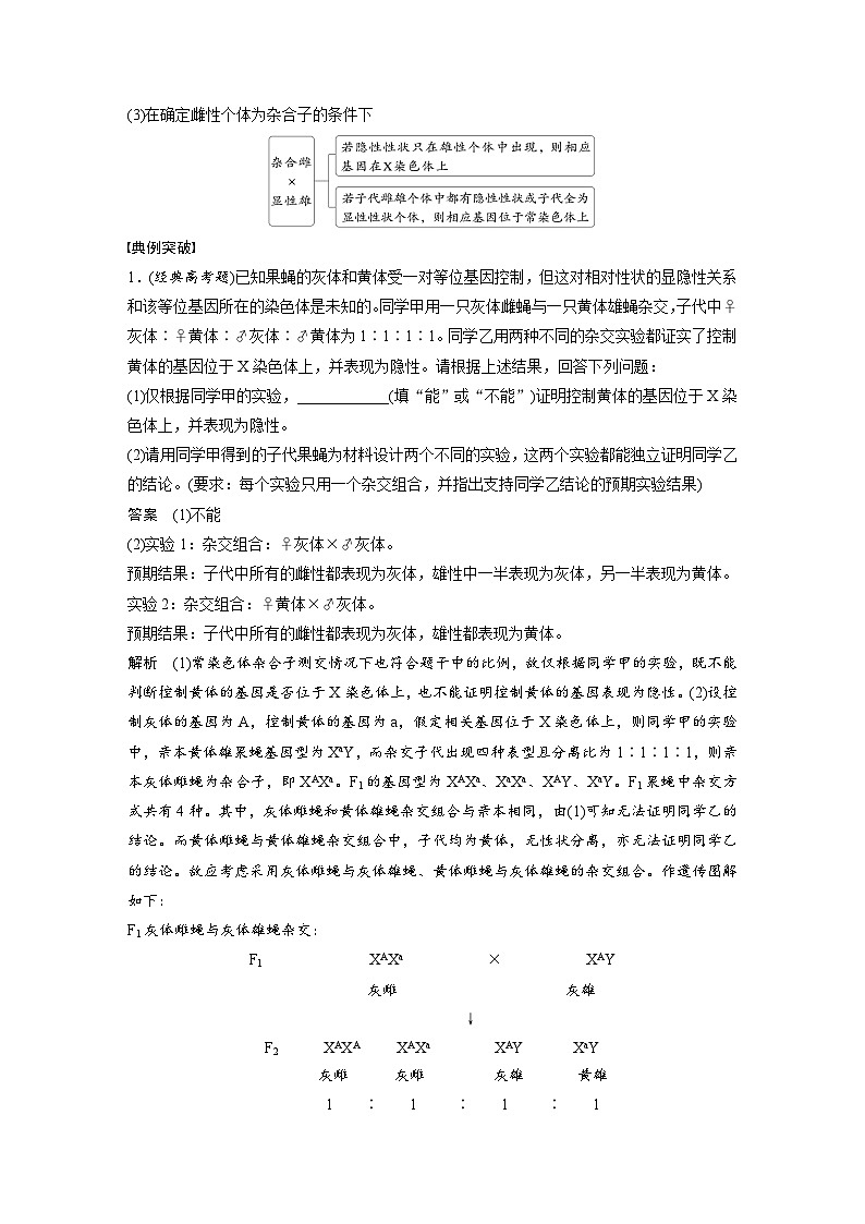 第五单元　专题突破8　基因在性染色体上的位置判断-2025年高考生物大一轮复习（课件+讲义+练习）02
