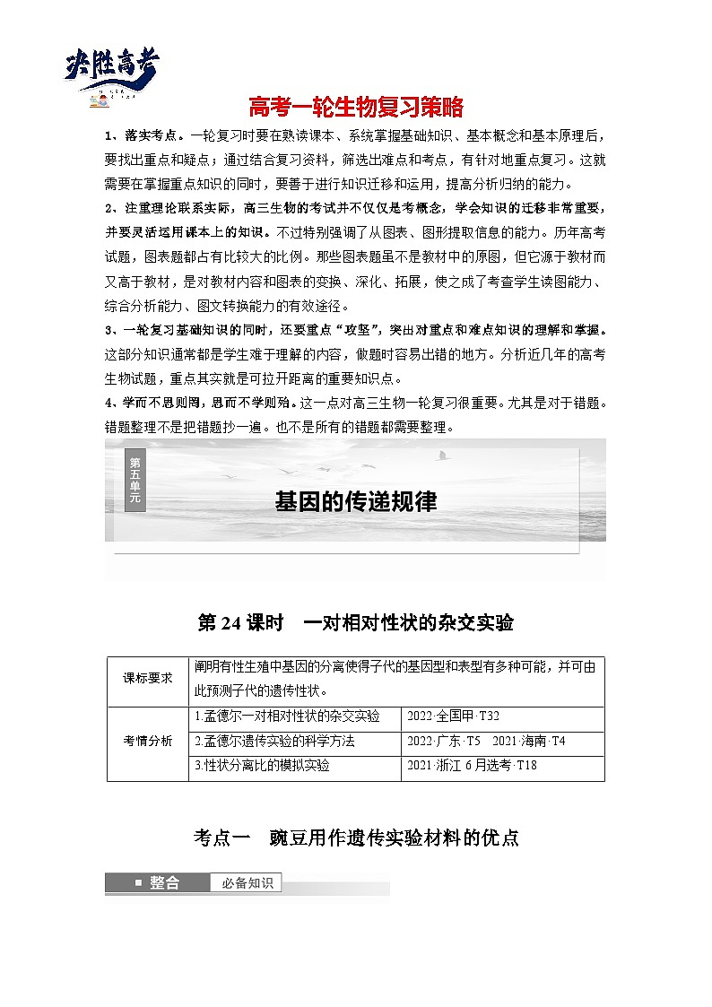 第五单元　第二十四课时　一对相对性状的杂交实验-2025年高考生物大一轮复习（课件+讲义+练习）01