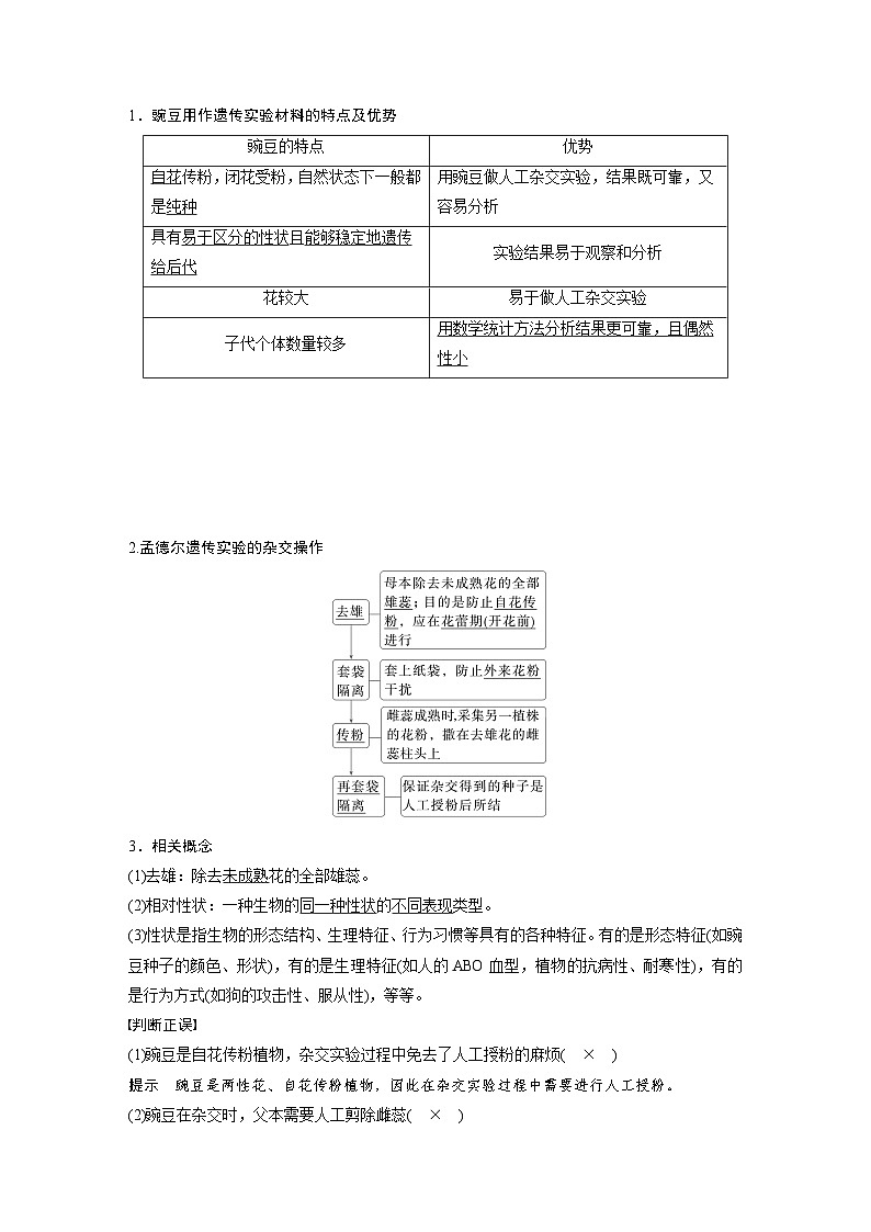 第五单元　第二十四课时　一对相对性状的杂交实验-2025年高考生物大一轮复习（课件+讲义+练习）02