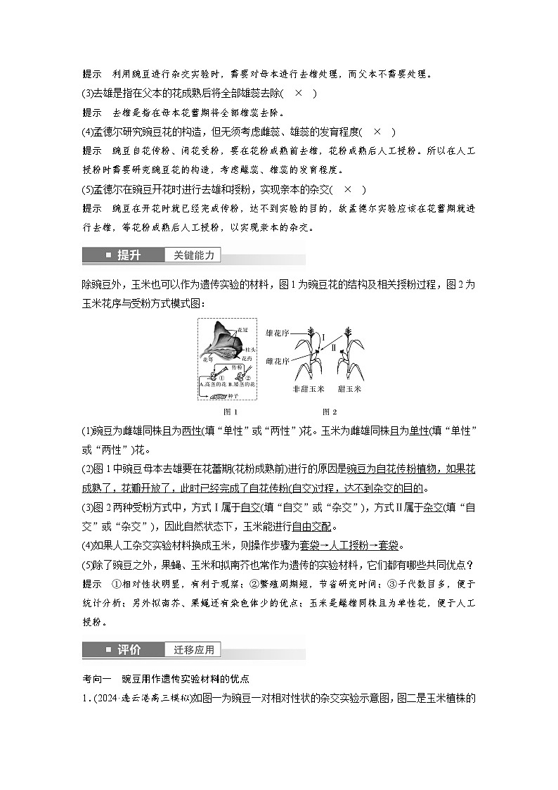 第五单元　第二十四课时　一对相对性状的杂交实验-2025年高考生物大一轮复习（课件+讲义+练习）03