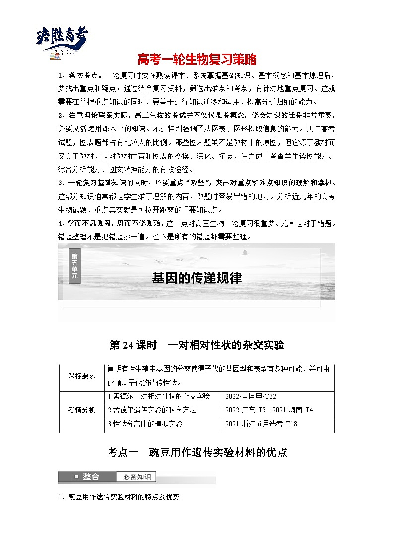 第五单元　第二十四课时　一对相对性状的杂交实验-2025年高考生物大一轮复习（课件+讲义+练习）01