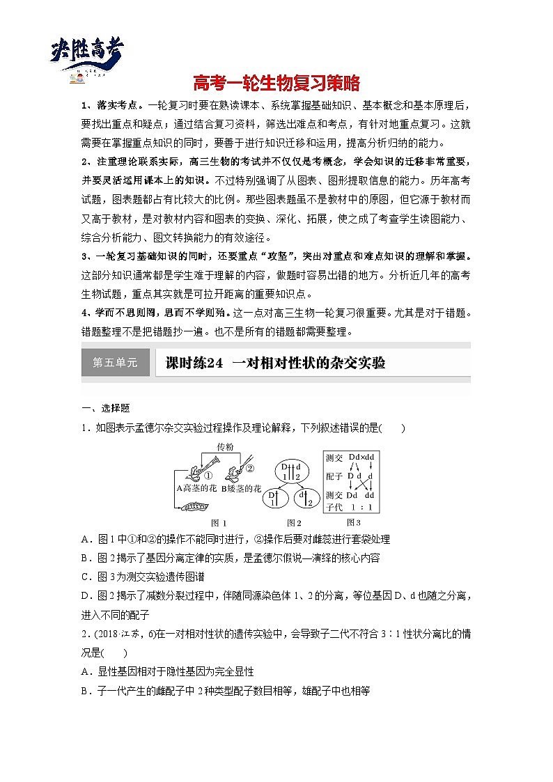 第五单元　第二十四课时　一对相对性状的杂交实验-2025年高考生物大一轮复习（课件+讲义+练习）01