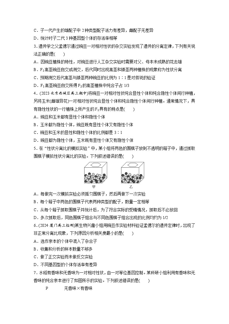 第五单元　第二十四课时　一对相对性状的杂交实验-2025年高考生物大一轮复习（课件+讲义+练习）02