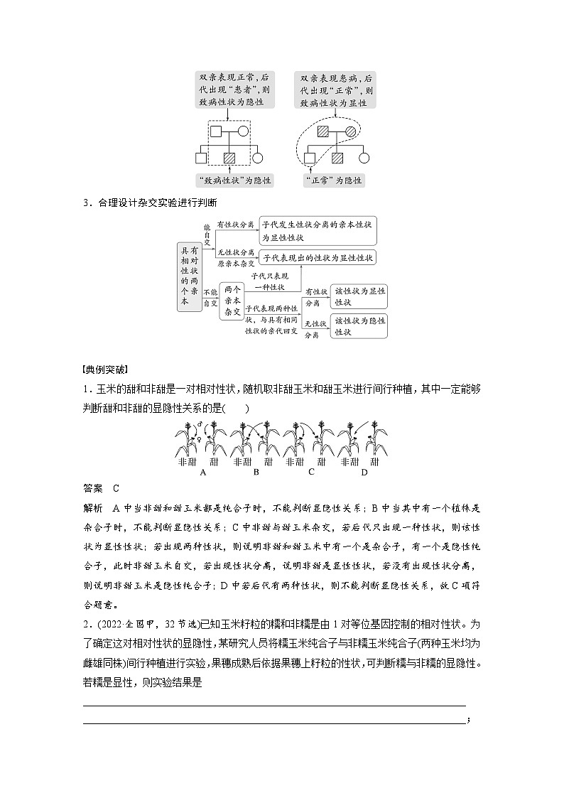 第五单元　第二十五课时　分离定律的概率计算和常规应用-2025年高考生物大一轮复习（课件+讲义+练习）02
