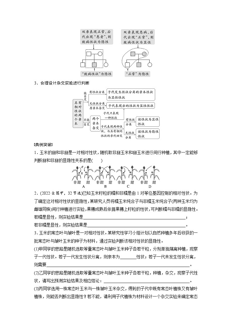 第五单元　第二十五课时　分离定律的概率计算和常规应用-2025年高考生物大一轮复习（课件+讲义+练习）02
