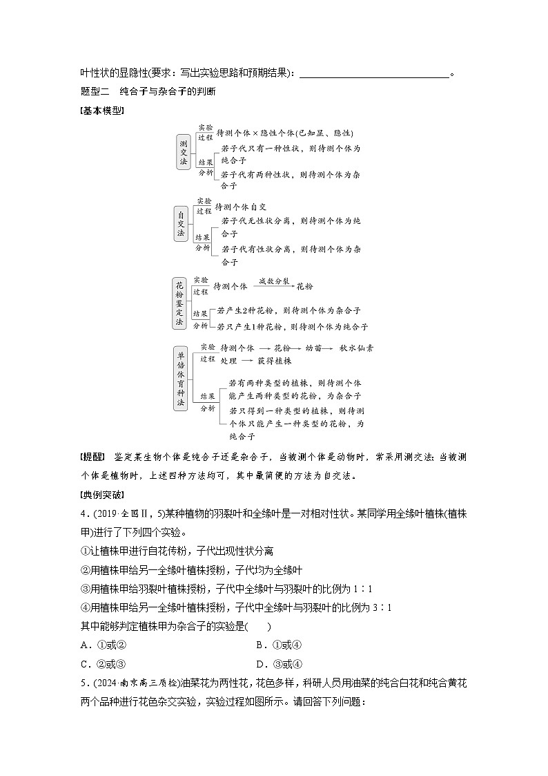 第五单元　第二十五课时　分离定律的概率计算和常规应用-2025年高考生物大一轮复习（课件+讲义+练习）03