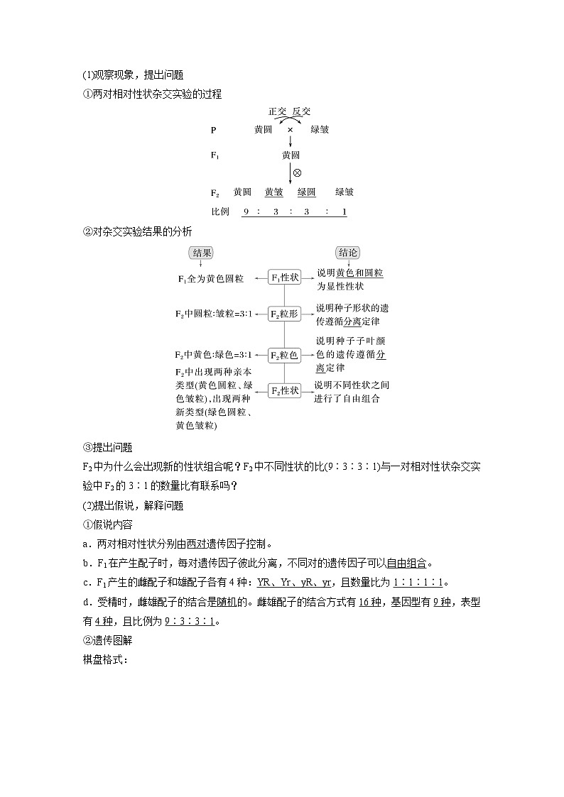第五单元　第26课时　自由组合定律-2025年高考生物大一轮复习（课件+讲义+练习）教师版第2页