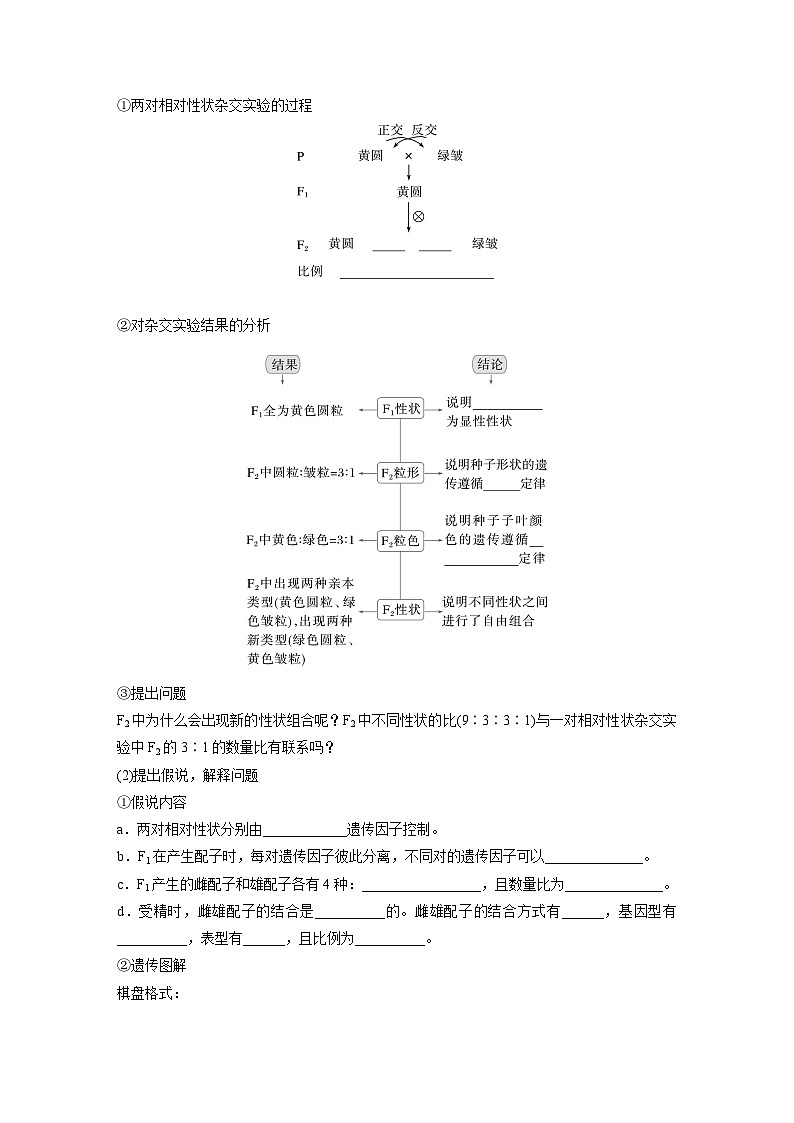 第五单元　第26课时　自由组合定律-2025年高考生物大一轮复习（课件+讲义+练习）学生版第2页