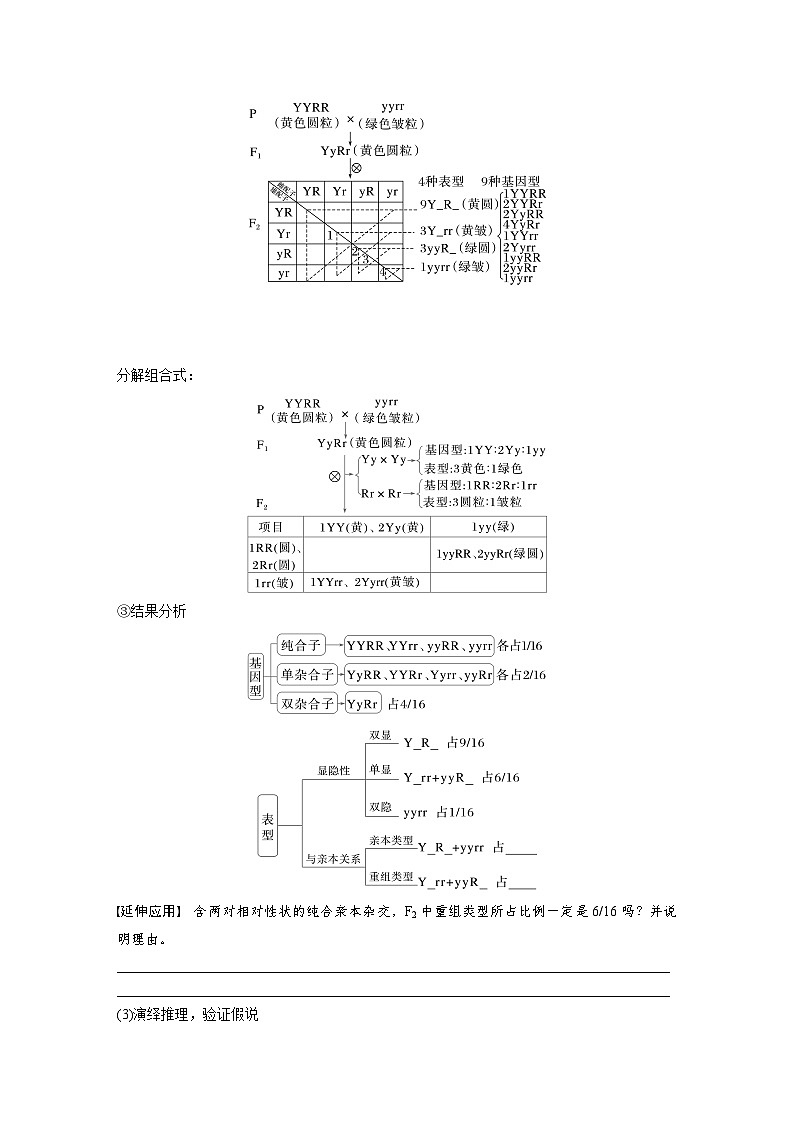 第五单元　第26课时　自由组合定律-2025年高考生物大一轮复习（课件+讲义+练习）学生版第3页