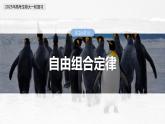 第五单元　第二十六课时　自由组合定律-2025年高考生物大一轮复习（课件+讲义+练习）