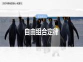 第五单元　第二十六课时　自由组合定律-2025年高考生物大一轮复习（课件+讲义+练习）
