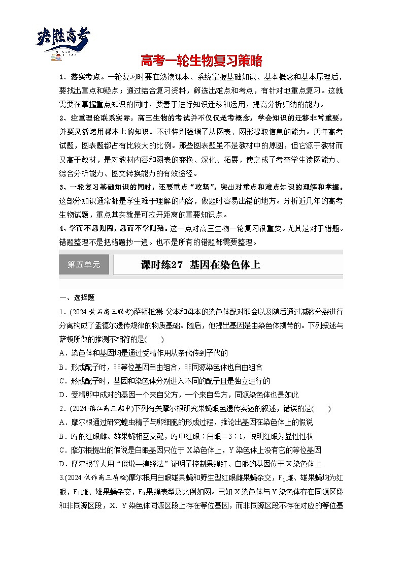 第五单元　第二十七课时　基因在染色体上-2025年高考生物大一轮复习（课件+讲义+练习）01