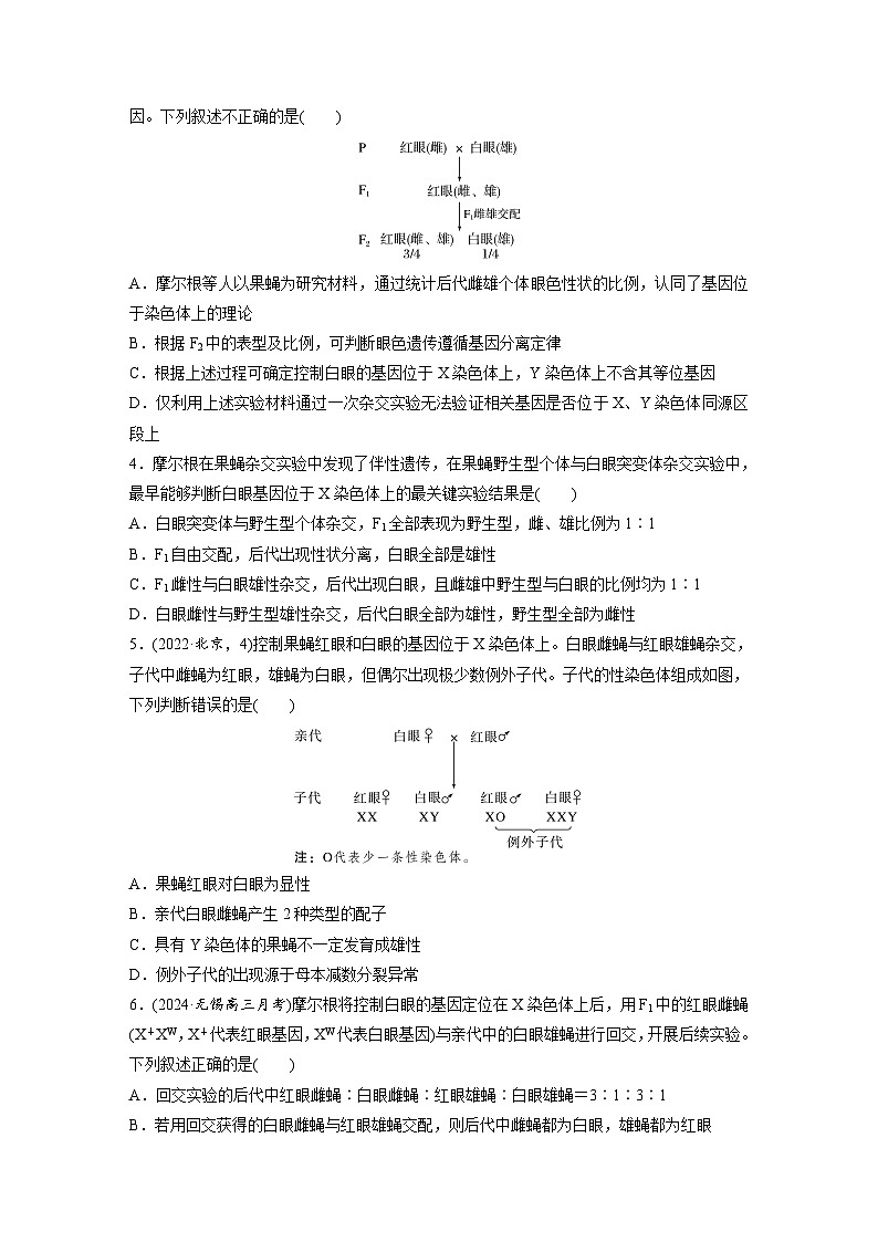 第五单元　第二十七课时　基因在染色体上-2025年高考生物大一轮复习（课件+讲义+练习）02