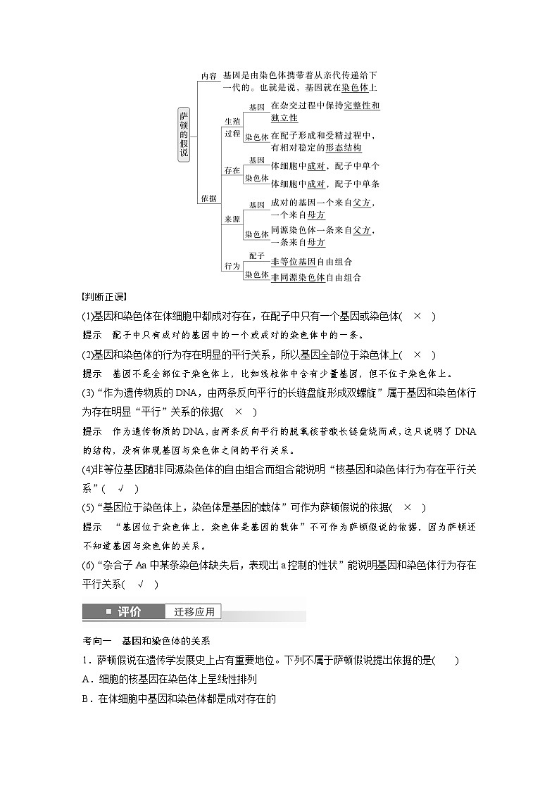 第五单元　第二十七课时　基因在染色体上-2025年高考生物大一轮复习（课件+讲义+练习）02
