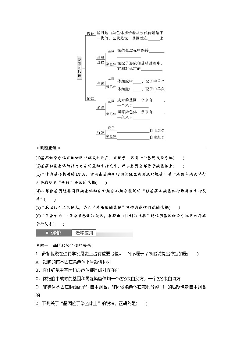 第五单元　第二十七课时　基因在染色体上-2025年高考生物大一轮复习（课件+讲义+练习）02