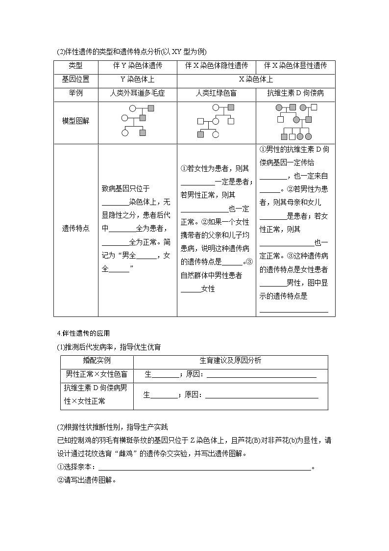 第五单元　第28课时　伴性遗传和人类遗传病-2025年高考生物大一轮复习（课件+讲义+练习）学生版第3页