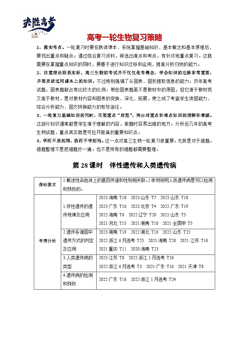 第五单元　第28课时　伴性遗传和人类遗传病-2025年高考生物大一轮复习（课件+讲义+练习）教师版第1页