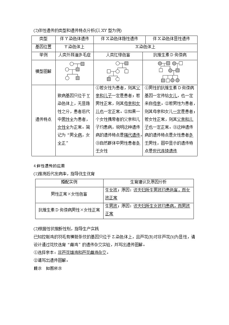 第五单元　第28课时　伴性遗传和人类遗传病-2025年高考生物大一轮复习（课件+讲义+练习）教师版第3页