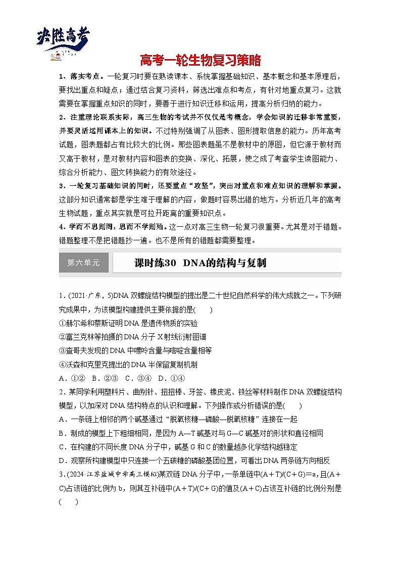 第六单元　课时练30  DNA的结构与复制-2025年高考生物大一轮复习（课件+讲义+练习）专练第1页
