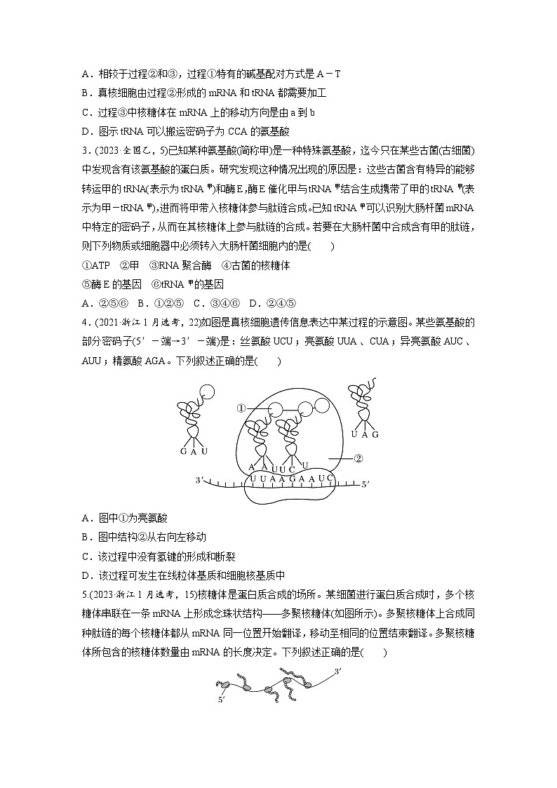 第六单元　第31课时　基因的表达-2025年高考生物大一轮复习（课件+讲义+练习）02
