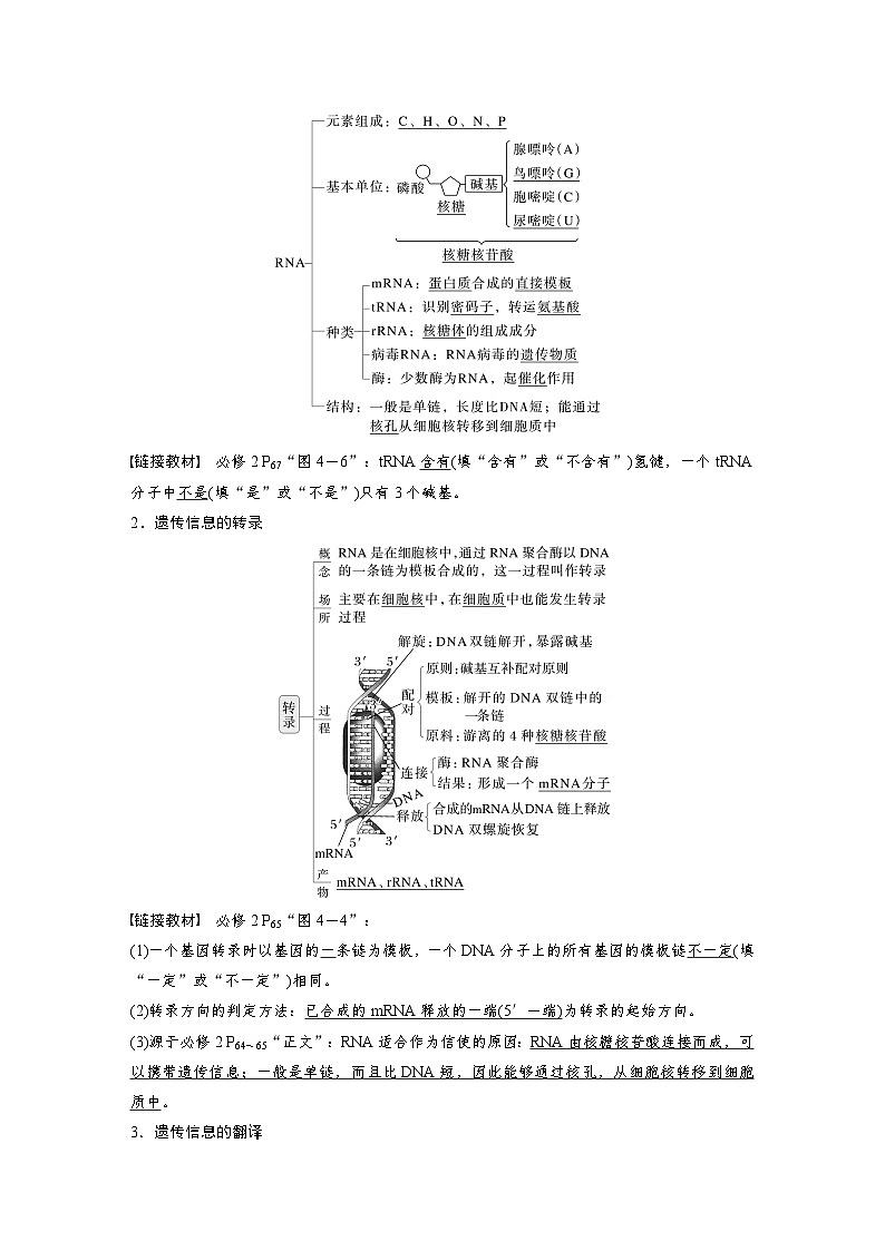 第六单元　第31课时　基因的表达-2025年高考生物大一轮复习（课件+讲义+练习）02