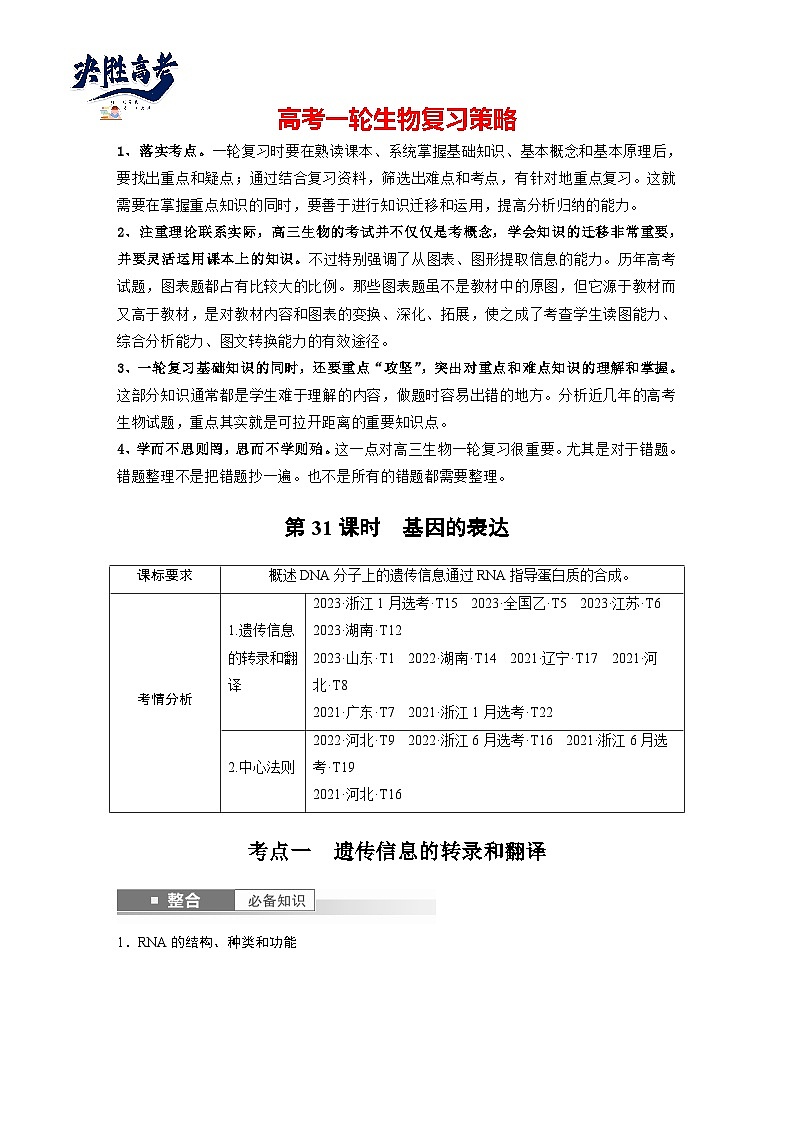 第六单元　第31课时　基因的表达-2025年高考生物大一轮复习（课件+讲义+练习）01