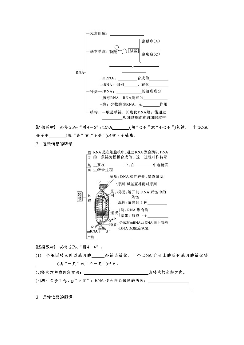 第六单元　第31课时　基因的表达-2025年高考生物大一轮复习（课件+讲义+练习）02