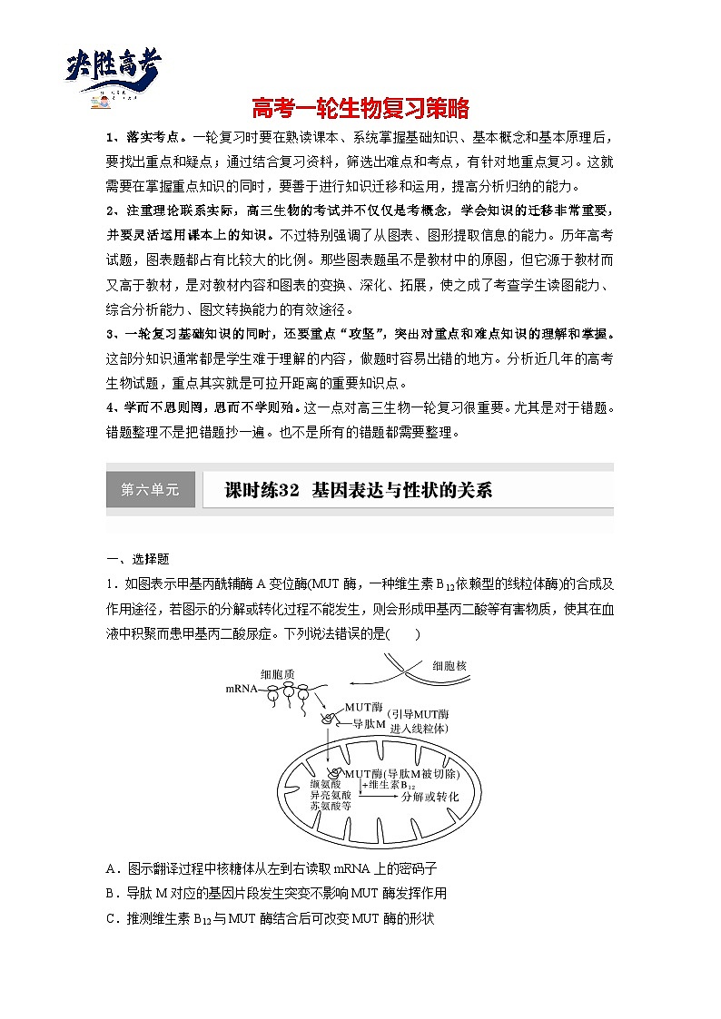 第六单元　课时练32　基因表达与性状的关系-2025年高考生物大一轮复习（课件+讲义+练习）专练第1页
