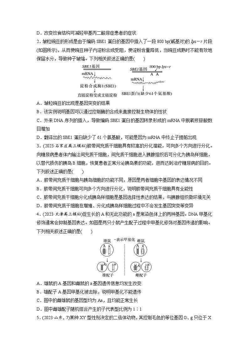 第六单元　课时练32　基因表达与性状的关系-2025年高考生物大一轮复习（课件+讲义+练习）专练第2页
