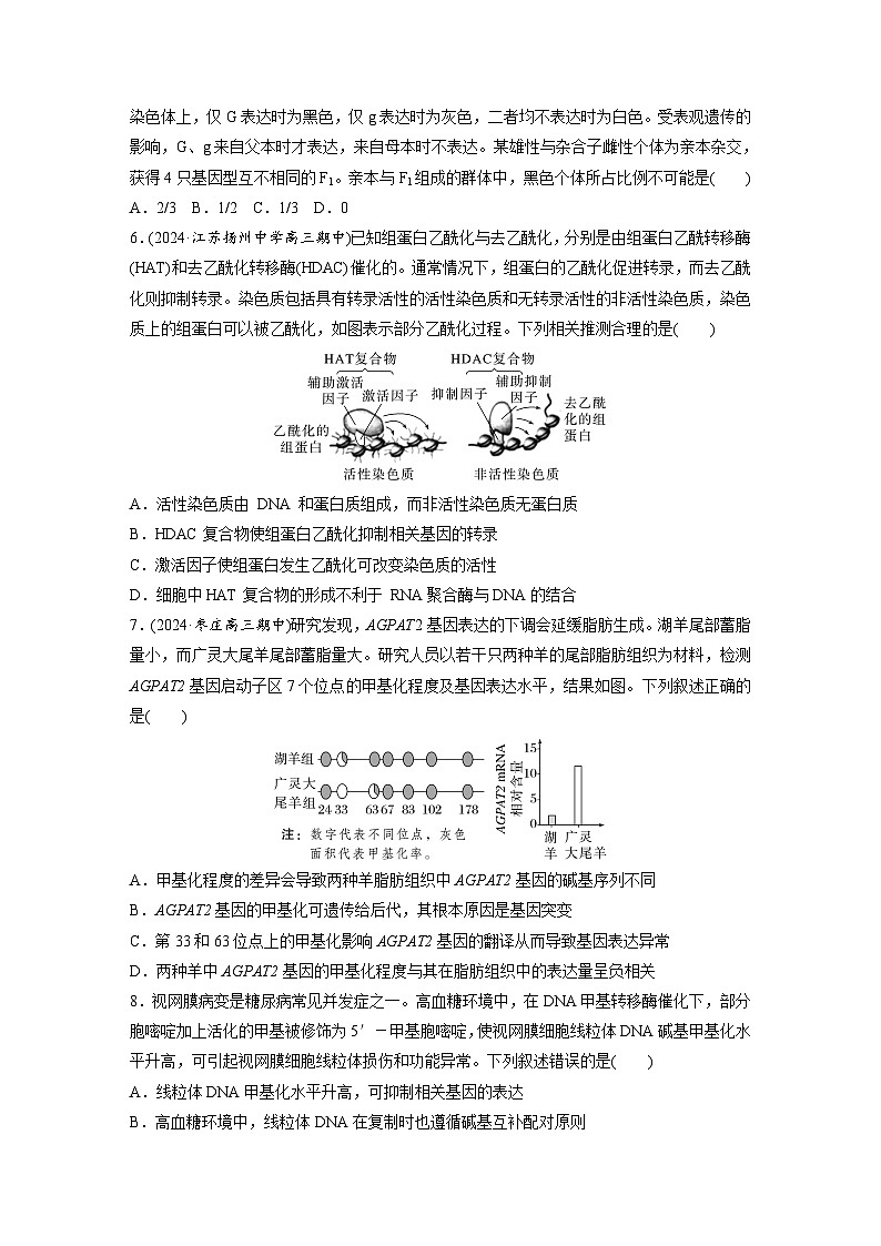 第六单元　课时练32　基因表达与性状的关系-2025年高考生物大一轮复习（课件+讲义+练习）专练第3页