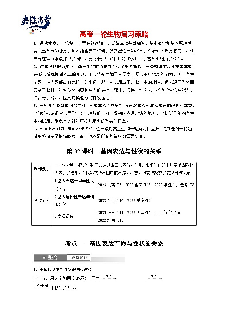 第六单元　第32课时　基因表达与性状的关系-2025年高考生物大一轮复习（课件+讲义+练习）学生版第1页