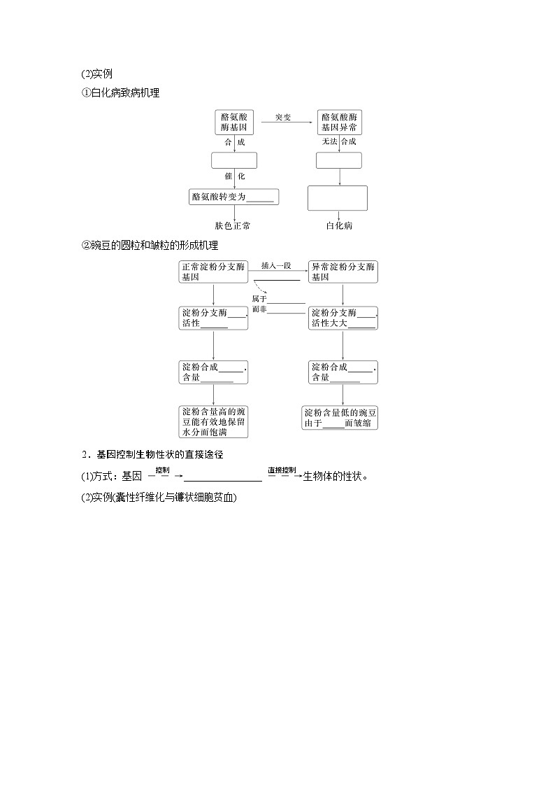 第六单元　第32课时　基因表达与性状的关系-2025年高考生物大一轮复习（课件+讲义+练习）学生版第2页